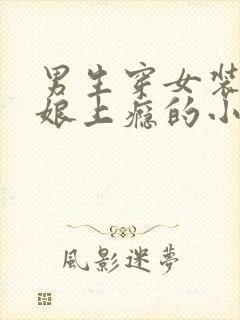 男生穿女装当伪娘上瘾的小说