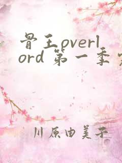 骨王overlord 第一季完整版