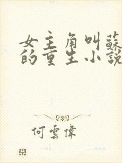 女主角叫苏倾城的重生小说