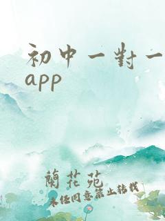 初中一对一辅导app