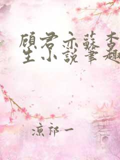 顾君亦苏杳国防生小说笔趣阁