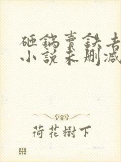 砸锅卖铁去上学小说未删减版