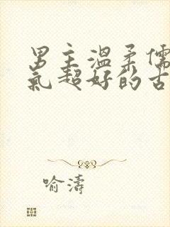 男主温柔儒雅脾气超好的古言