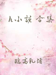 h小说 合集