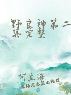 野良神第二季全集完整