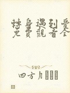 转身遇到爱短剧免费观看全集