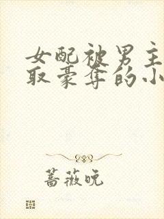 女配被男主们强取豪夺的小说