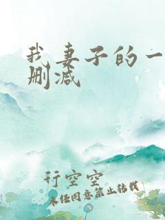 我妻子的一切无删减