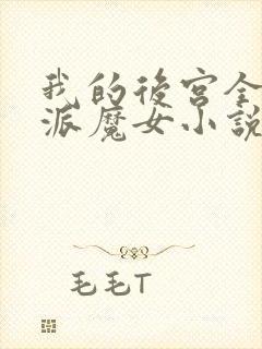 我的后宫全是反派魔女小说在线看