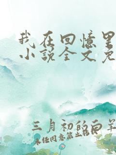 我在回忆里等你小说全文免费阅读