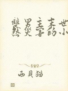 双男主末世文自然灾害的小说推荐