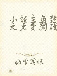 小说主角楚枫全文免费阅读