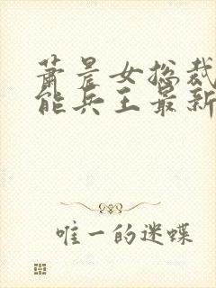 萧晨女总裁的全能兵王最新