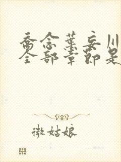 乔念叶妄川小说全部章节是多少节