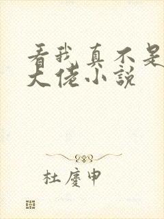 看我真不是女装大佬小说