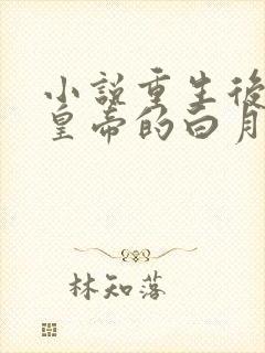 小说重生后她成皇帝的白月光下载