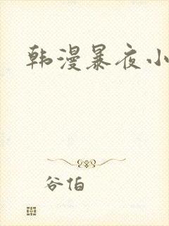 韩漫暴夜小说