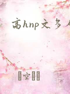 高hnp文多人