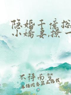 隐婚千亿总裁:小娇妻,撩一送一 灵小哥