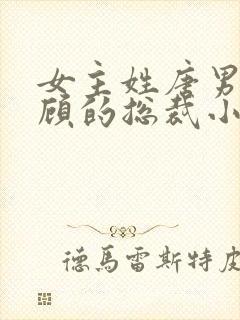 女主姓唐男主姓顾的总裁小说