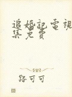 追婚记电视剧全集免费