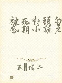 被死对头勾出易感期小说免费阅读