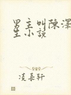 男主叫陈泽的重生小说