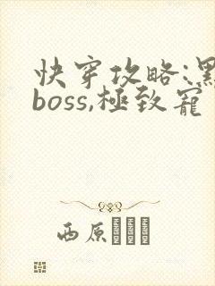 快穿攻略:黑化boss,极致宠