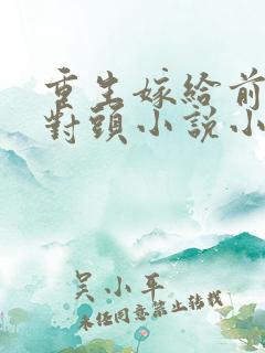 重生嫁给前夫死对头小说小说