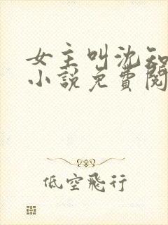 女主叫沈知薇的小说免费阅读