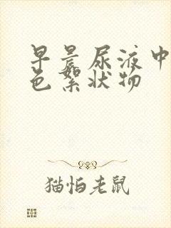 早晨尿液中有白色絮状物