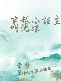 穿越小说主人公叫沈浪