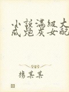 小说满级大佬穿成炮灰女配