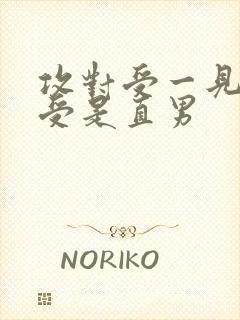 攻对受一见钟情受是直男