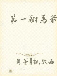 第一驸马爷在线