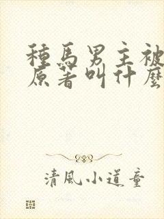 种马男主被掰弯原著叫什么