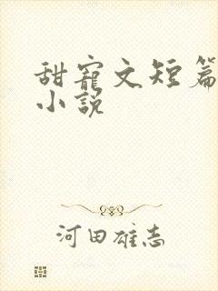 甜宠文短篇完结小说