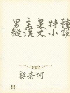 男主是特种兵的糙汉文小说