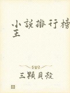 小说排行榜双男主