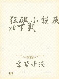 狂飙小说原著txt下载