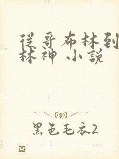 从哥布林到哥布林神 小说