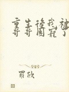 重生后我被四个哥哥团宠了全文免费阅读