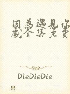 因为遇见你电视剧全集免费高清在线观看
