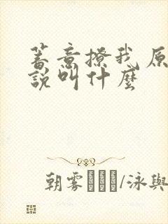 蓄意撩我原著小说叫什么