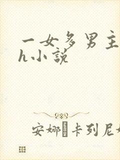 一女多男主的高h小说