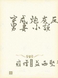 穿成炮灰反派的男妻 小说