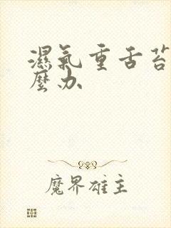 湿气重舌苔白怎么办