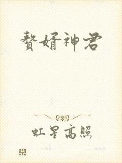 赘婿神君