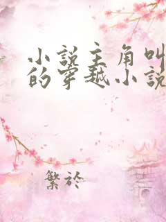 小说主角叫苏辰的穿越小说