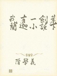 我有一剑叶观纳兰迦小说下载